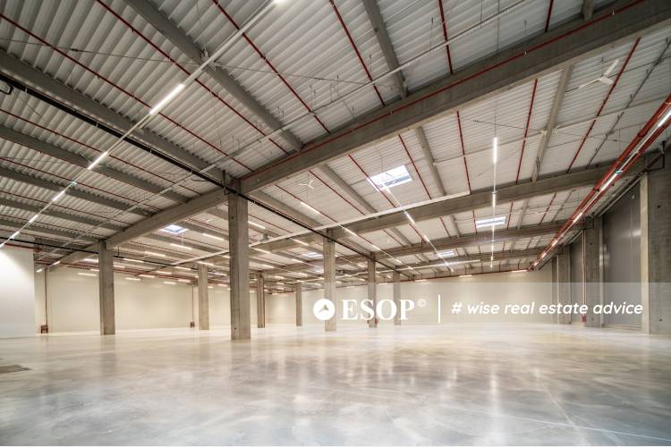 Eli Park Bacau hala 2 15150.2 1