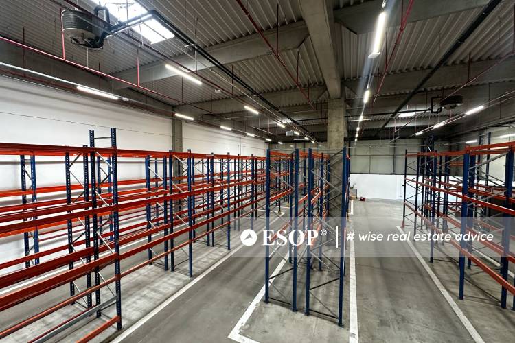 Expo Market Doraly 14545 2
