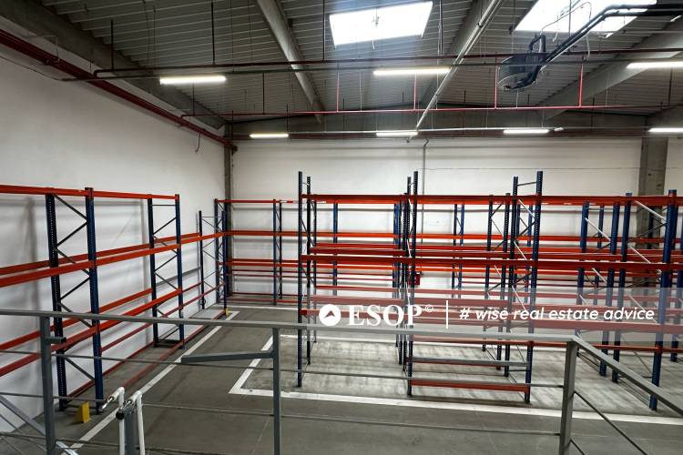 Expo Market Doraly 14545 5