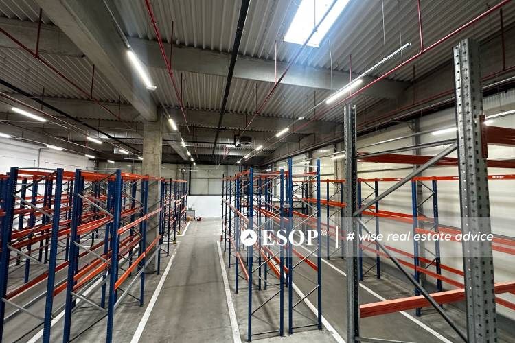 Expo Market Doraly 14545 3