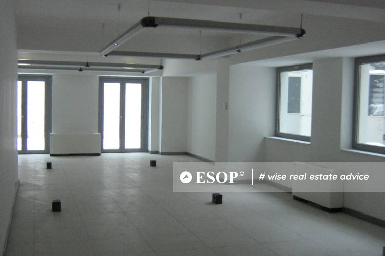 Filipescu Office Building 9623 2