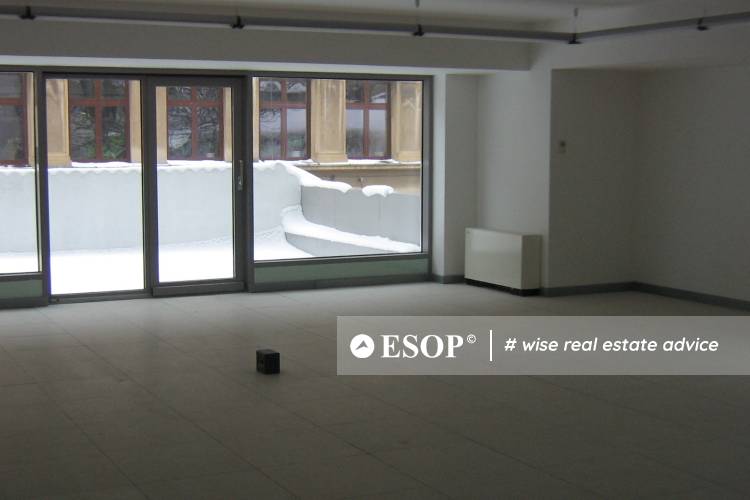 Filipescu Office Building 9623 8