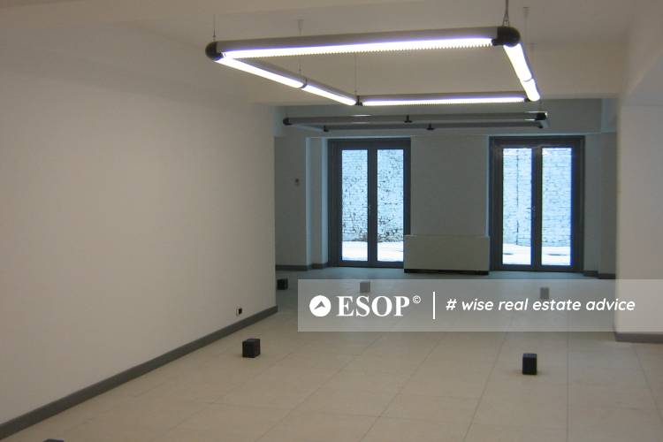 Filipescu Office Building 9623 10