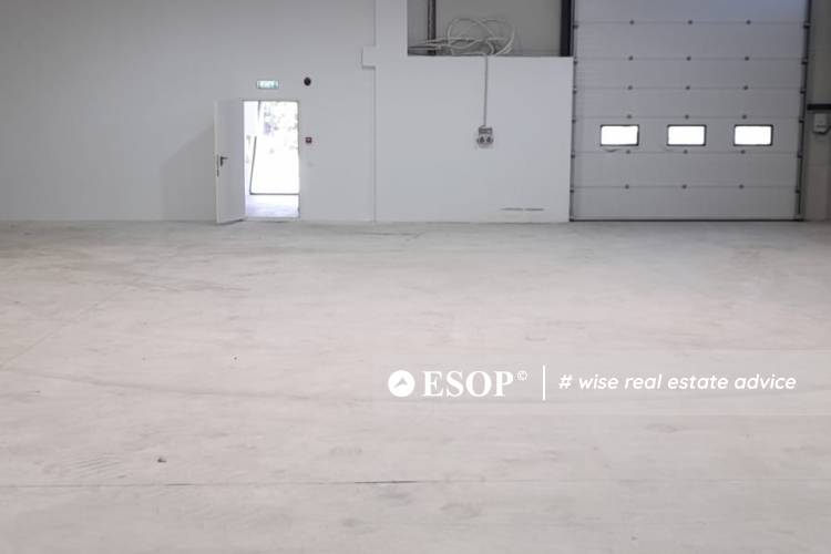  15503 11