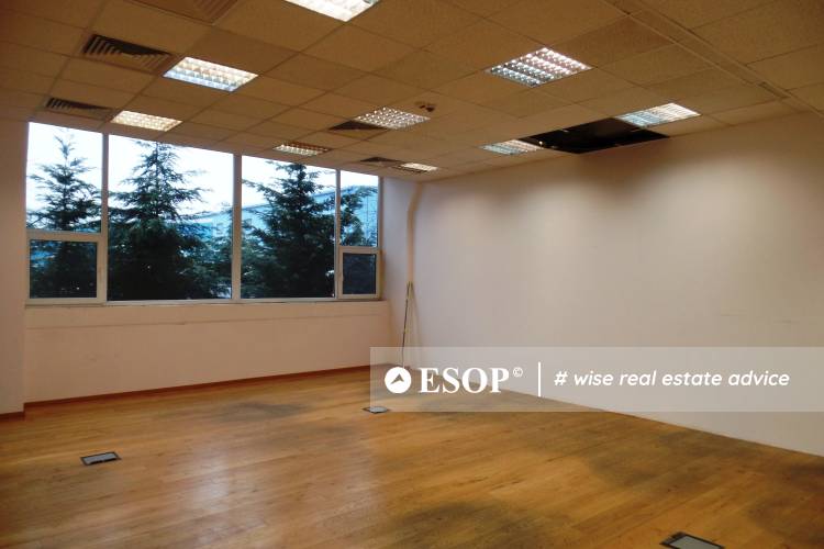 MEDIA OFFICE BUILDING 13239 5