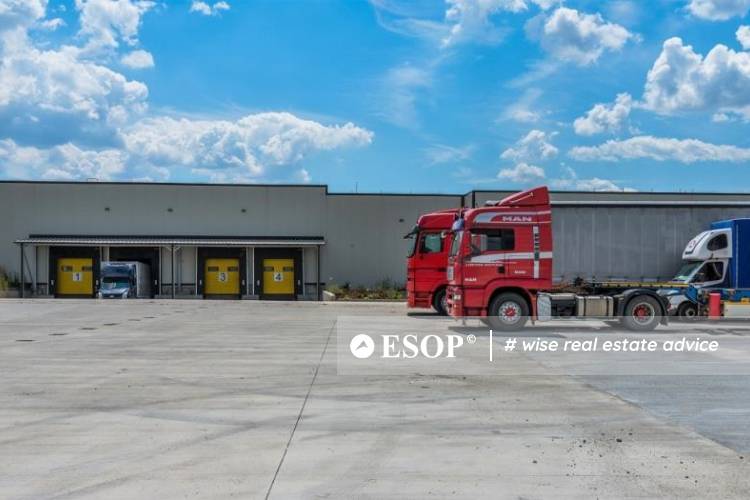 Mega Distribution Outlet 14777 8