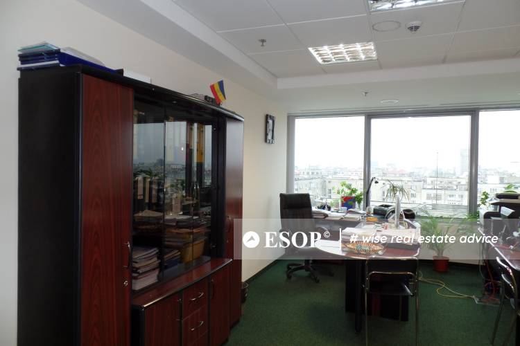Platinum Busines Center 4493 3