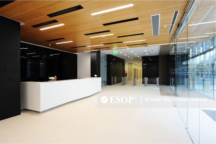 The Office Faza I 12775 5