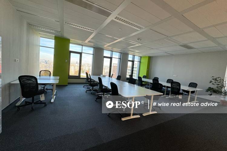 Timpuri Noi Square 2 13611 4