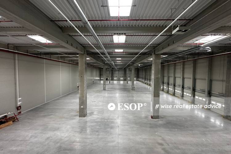 WDP Industrial Park Stefanesti 14580 4