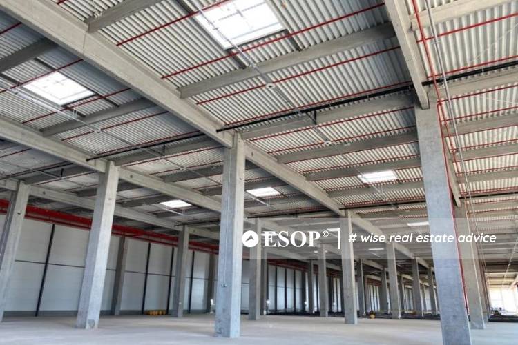 WDP Park Bucharest Chitila 14668 17