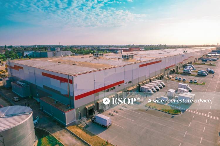 WDP Park Bucharest Chitila 14668 12