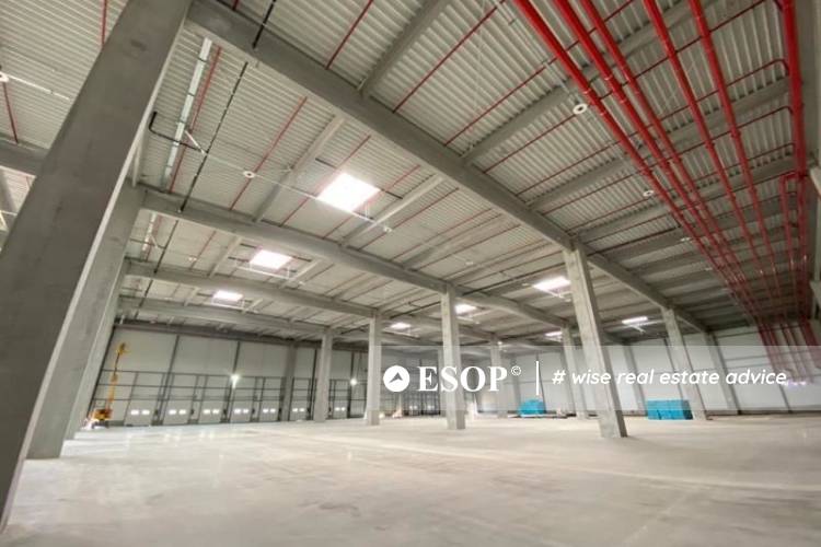 WDP Park Bucharest Chitila hala 2 14668.2 5