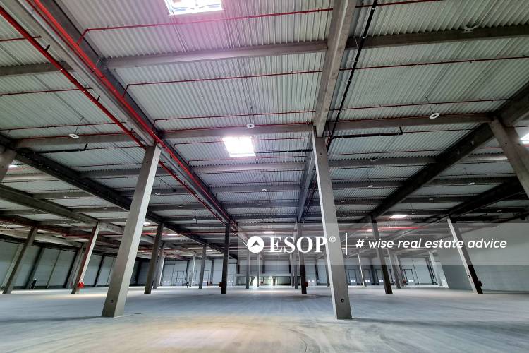 WDP Park Constanta - Lazu hala 1 14518.1 3