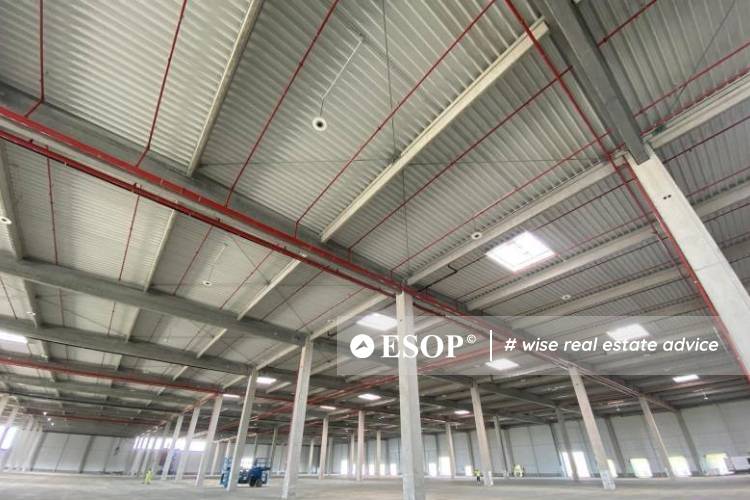 WDP Park Constanta - Lazu hala 2 14518.2 3
