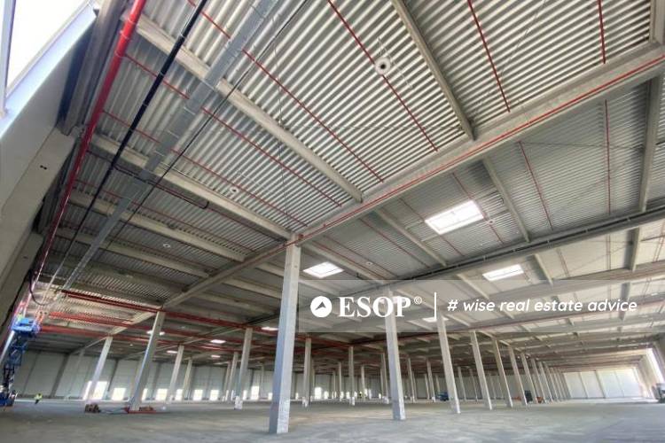 WDP Park Constanta - Lazu hala 5 14518.5 2